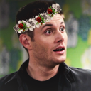 jensenlovesdimples-blog-blog avatar