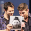 jensenmishadaily avatar