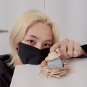 jeonghanspetrock avatar