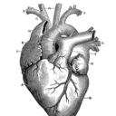 jerk-off-math-kaki avatar