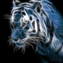 jerkjester4-blog avatar