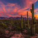 jerlinaz-blog avatar