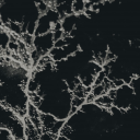 jerryandersonsdaughterinlaw avatar