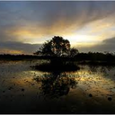 jers3ygal-blog avatar