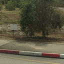 jerusalemdajly avatar