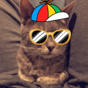 jess-in-wonderland12 avatar