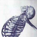 jesse-the-go-t avatar