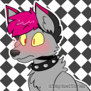 jessedumbpup avatar