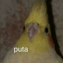 jessefem-blog avatar