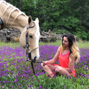 jessica-rohde avatar