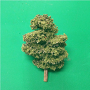 jessica-sutton avatar