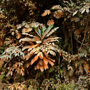 jessicaantola avatar