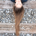 jessicalovesturtles avatar