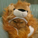 jessie-the-ninja avatar