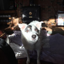 jessiedeering avatar