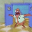 jessiekoipond avatar