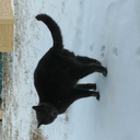 jessiemadethisstuff avatar