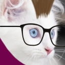 jessikeeandthemultiverse avatar