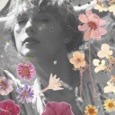 jesslovestaylor avatar