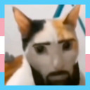 jestercats avatar