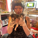 jestersthoughts avatar