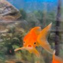 jesusandmeforlife avatar