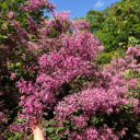 jesusdoesthedishes avatar