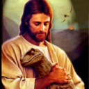 jesusridingadinosaur avatar