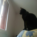 jeveuxparlerjaponais avatar