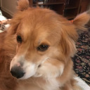 jewelofmygarden avatar