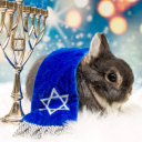 jewish-elphaba avatar