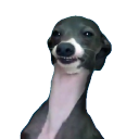 jewish-space-laser avatar