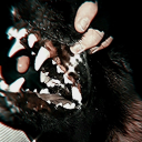 jezebelenabler avatar