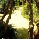 jf2615lingerie avatar