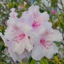 jfc-ihateithere avatar