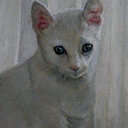 jgl-us avatar