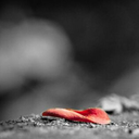 jiaoyi08-blog-blog avatar