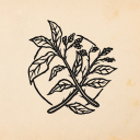 jigokurakuzine avatar