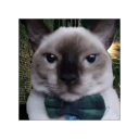 jijijijsposts avatar