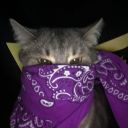 jillianscorneroftheworld avatar