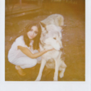 jillianshea-blog avatar