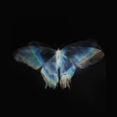 jiminslostjams2000 avatar