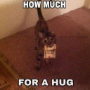 jimminaldacriminal avatar