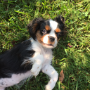 jimothy-the-pickle avatar