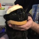 jingerbreadoutofstock avatar