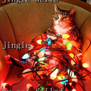 jinglekate avatar