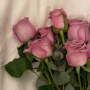 jinx-67-luckie avatar