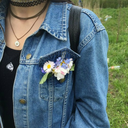 jirafa-empedernida24 avatar