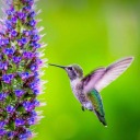 jitendra-varma avatar