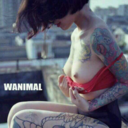 jiujunyu-blog avatar